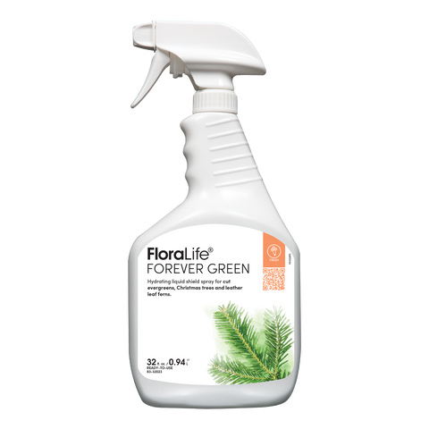 FloraLife® ForEver Green (Formerly known as FloraLife® Evergreens Spray)