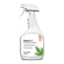 FloraLife® ForEver Green (Formerly known as FloraLife® Evergreens Spray)