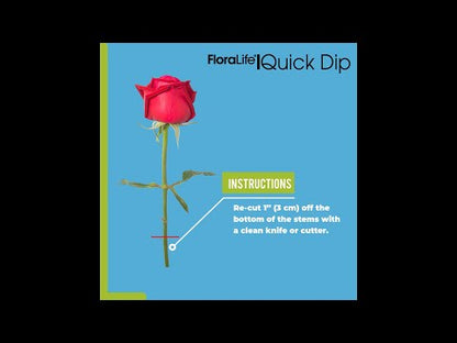 FloraLife® Quick Dip