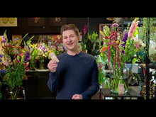 FloraLife® Express 300 Recyclable Flower Food Paper Packets - Improved Moisture Barrier