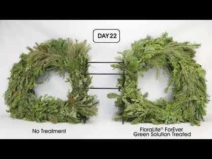 FloraLife® ForEver Green