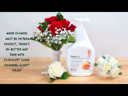 FloraLife® Clear Crowning Glory®