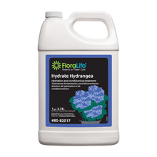 FloraLife® Hydrate Hydrangea